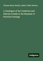 A Catalogue of the Cambrian and Silurian Fossils in the Museum of Practical Geology