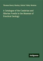 A Catalogue of the Cambrian and Silurian Fossils in the Museum of Practical Geology