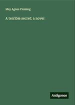 A terrible secret: a novel