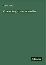 Commentary on international law