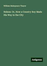 Nelson: Or, How a Country Boy Made His Way in the City