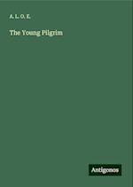 The Young Pilgrim