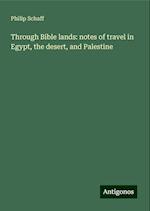 Through Bible lands: notes of travel in Egypt, the desert, and Palestine