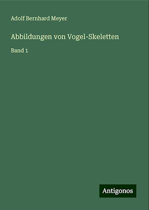 Abbildungen von Vogel-Skeletten