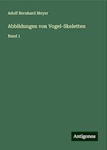 Abbildungen von Vogel-Skeletten