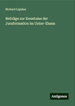 Beiträge zur Kenntniss der Juraformation im Unter-Elsass