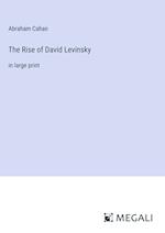 The Rise of David Levinsky