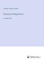 Galusha the Magnificent