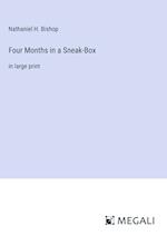 Four Months in a Sneak-Box