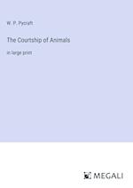 The Courtship of Animals