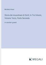 Storia dei musulmani di Sicili; In Tre Volumi, Volume Terzo, Parte Seconda