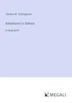 Adventures in Silence