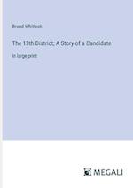 The 13th District; A Story of a Candidate