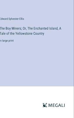 The Boy Miners; Or, The Enchanted Island, A Tale of the Yellowstone Country