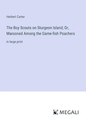 The Boy Scouts on Sturgeon Island; Or, Marooned Among the Game-fish Poachers