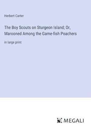 The Boy Scouts on Sturgeon Island; Or, Marooned Among the Game-fish Poachers