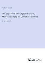 The Boy Scouts on Sturgeon Island; Or, Marooned Among the Game-fish Poachers