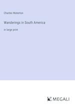 Wanderings in South America