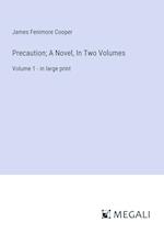 Precaution; A Novel, In Two Volumes