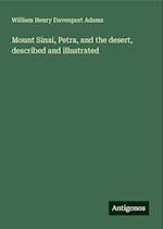 Mount Sinai, Petra, and the desert, described and illustrated