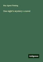 One night's mystery: a novel