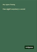 One night's mystery: a novel