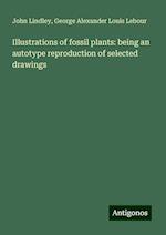 Illustrations of fossil plants: being an autotype reproduction of selected drawings