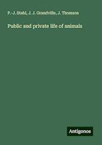 Public and private life of animals