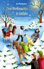 Drei Weihnachts-Lamas in Gefahr