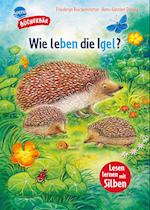 Sachwissen für Erstleser. Wie leben die Igel?