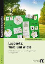 Lapbooks: Wald und Wiese