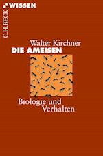 Die Ameisen