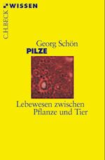 Pilze