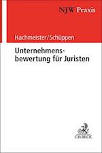 Unternehmensbewertung für Juristen