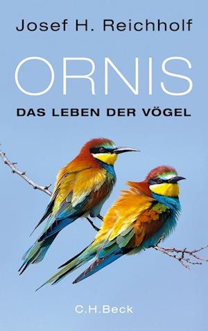 Ornis