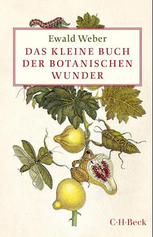 Das kleine Buch der botanischen Wunder