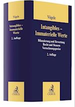 Intangibles - Immaterielle Werte