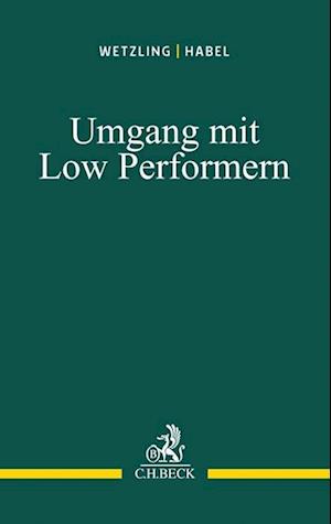 Umgang mit Low Performern