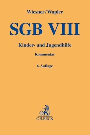 SGB VIII