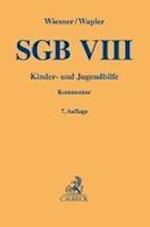 SGB VIII