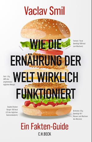 Wie Ernährung wirklich funktioniert