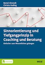 Sinnorientierung und Tiefgangprinzip in Coaching und Beratung