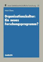Organisationskultur: Ein neues Forschungsprogramm?