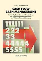 Cash Flow und Cash Management