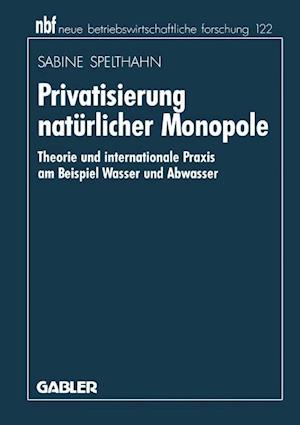 Privatisierung natürlicher Monopole