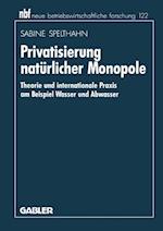 Privatisierung Naturlicher Monopole