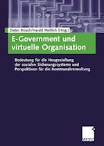 E-Government und virtuelle Organisation