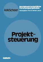 Projektsteuerung