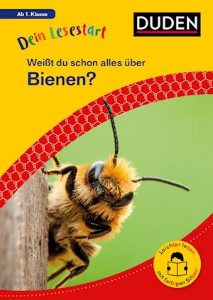 Dein Lesestart: Weißt du schon alles über Bienen? Ab 1. Klasse