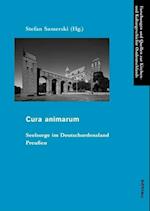 Cura Animarum